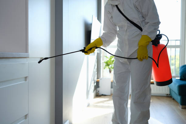 Best Attic Mold Removal  in Auburn, MI