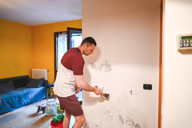 Trusted Auburn, MI Mold Removal Experts